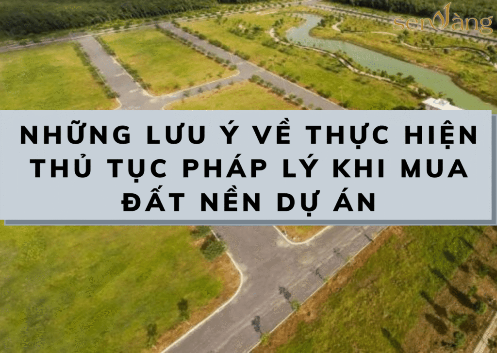thu tuc